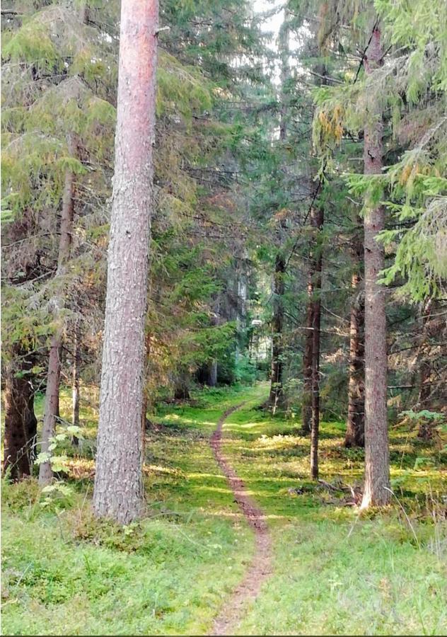 Good Life Homestay Ahmovaara Zewnętrze zdjęcie