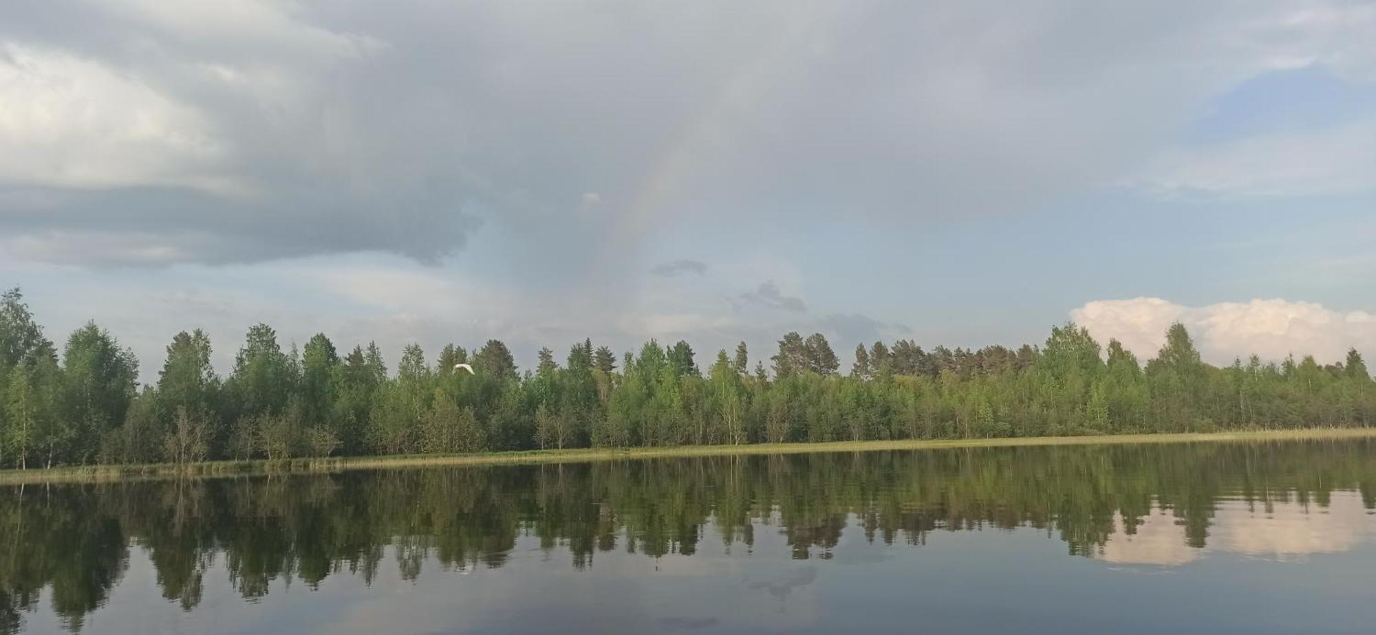 Good Life Homestay Ahmovaara Zewnętrze zdjęcie