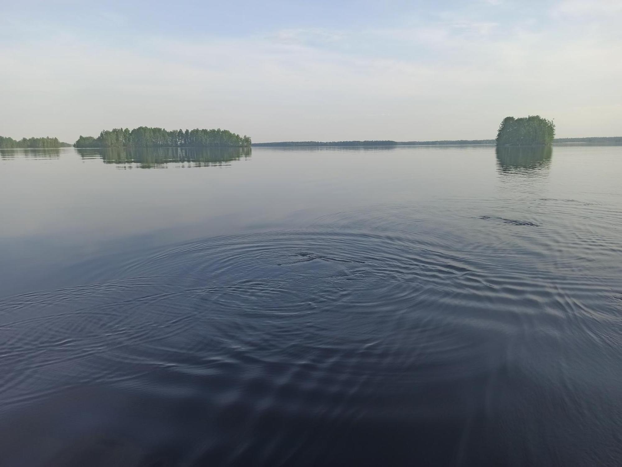 Good Life Homestay Ahmovaara Zewnętrze zdjęcie